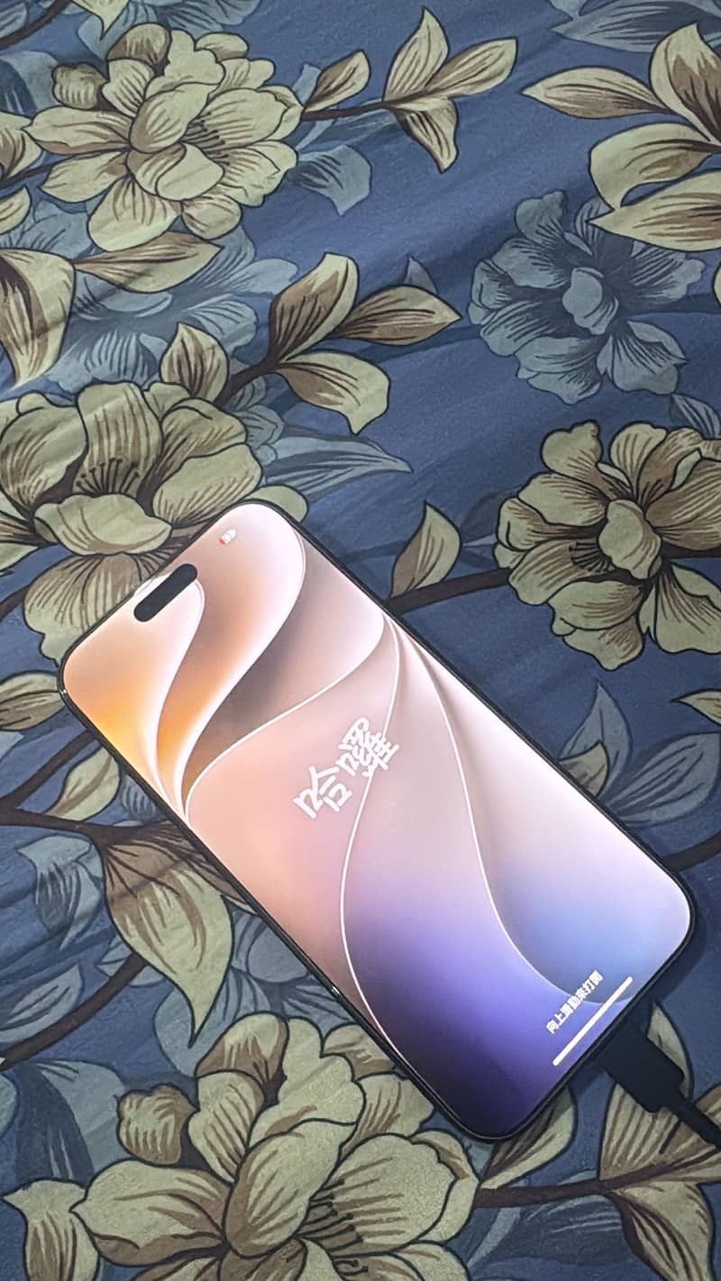 Apple iPhone 16 Pro Max 1