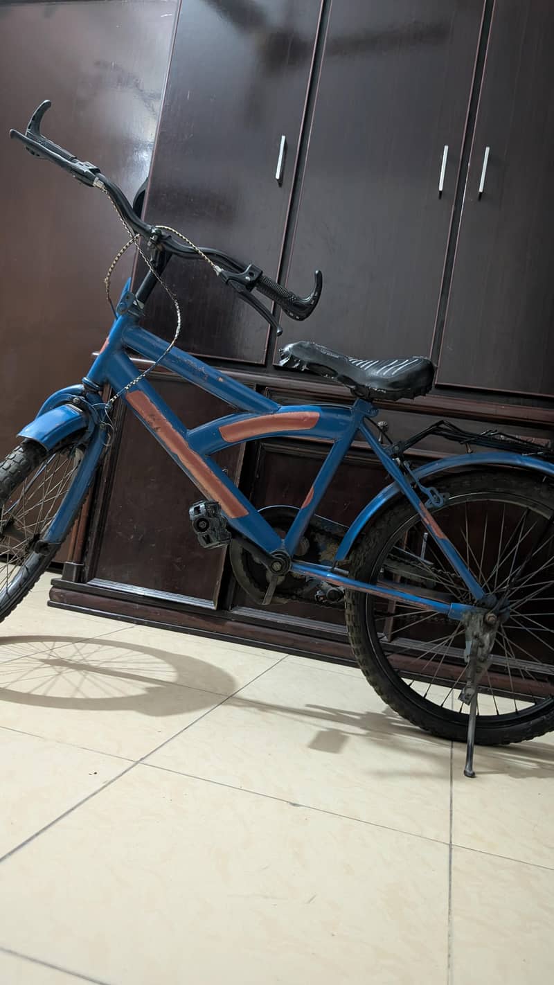 Bicycle 1