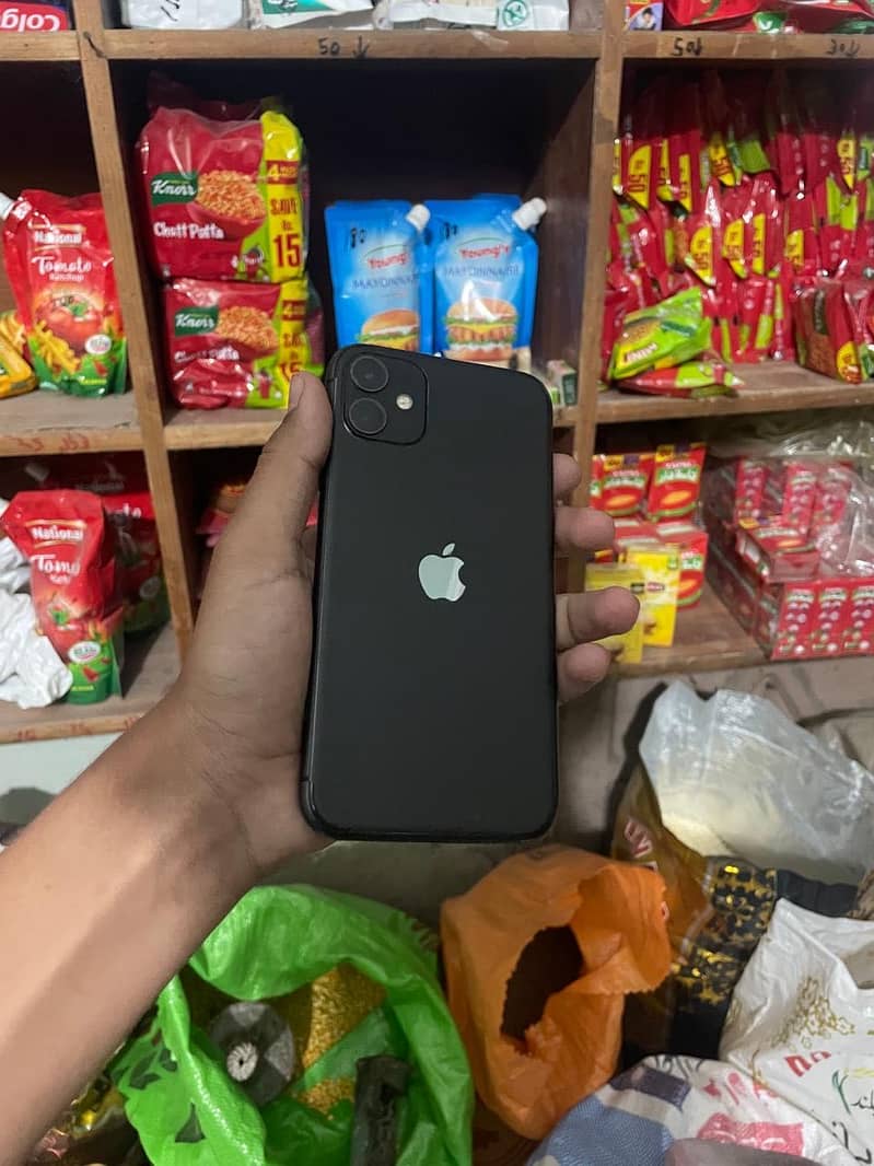 Apple iPhone 11 0