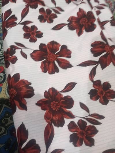 2pc janjua town