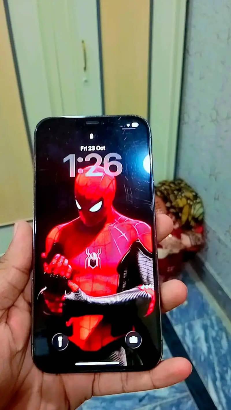 Apple iPhone 12 Pro Max 1