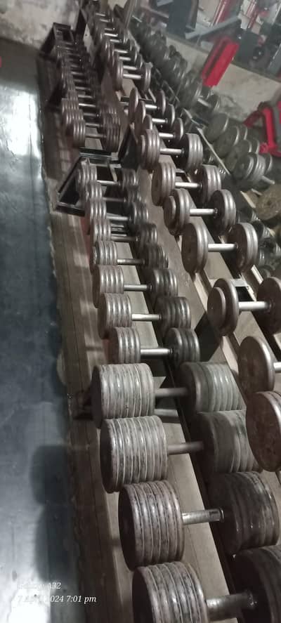 Gym for Sale