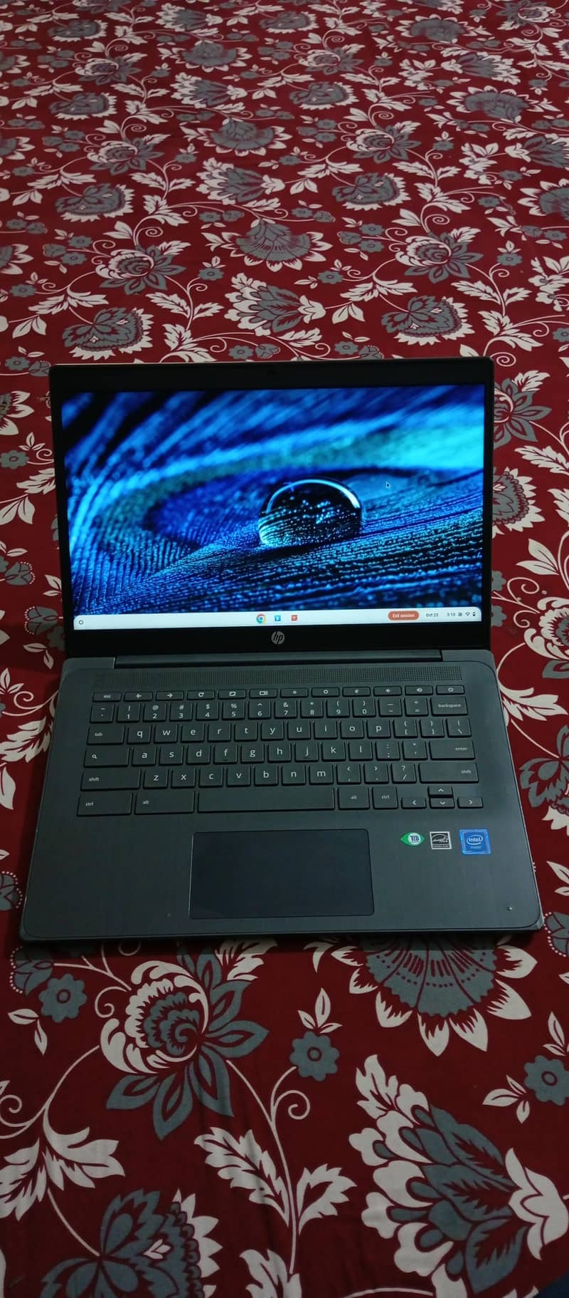 hp Chromebook 14 inch screen boderless 0