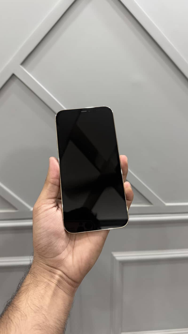 Apple iPhone 12 Pro Max 1