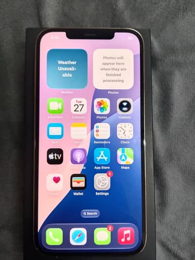 Apple iPhone 12 Pro Max