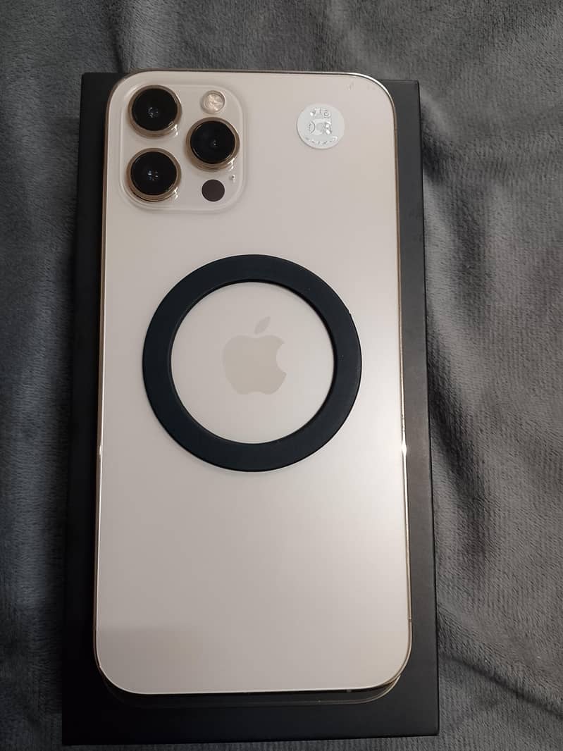 Apple iPhone 12 Pro Max 1