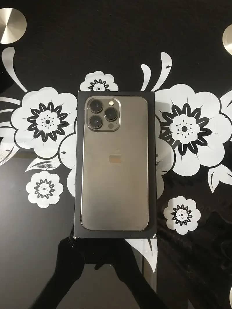 Apple iPhone 13 Pro 2