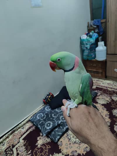 12345
