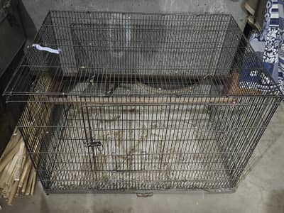 Cage h big size ka