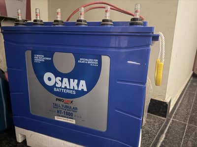 2 Osaka 1800 tall tabular batteries