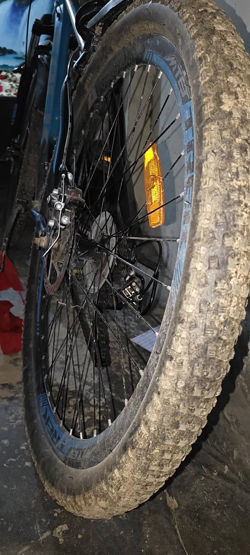 Trek Mountain bicycle 3