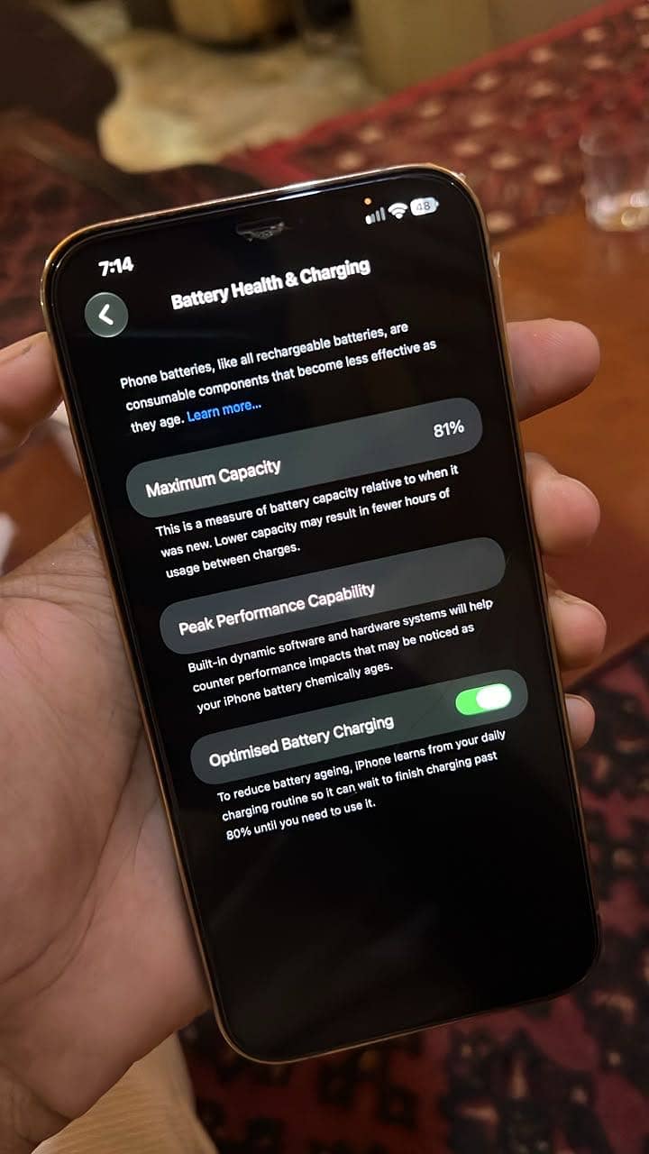 Apple iPhone 12 Pro Max 1
