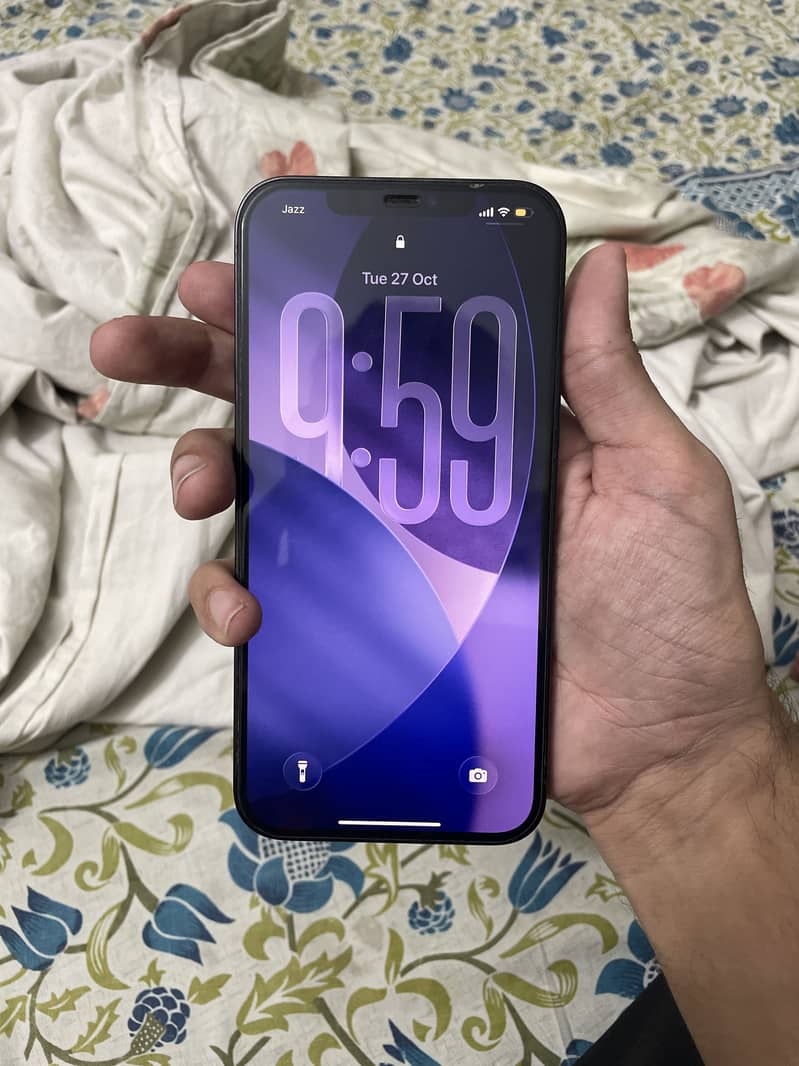 Apple iPhone 12 pro max 1