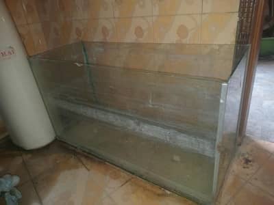 Aquarium for Sale 2.5 feet