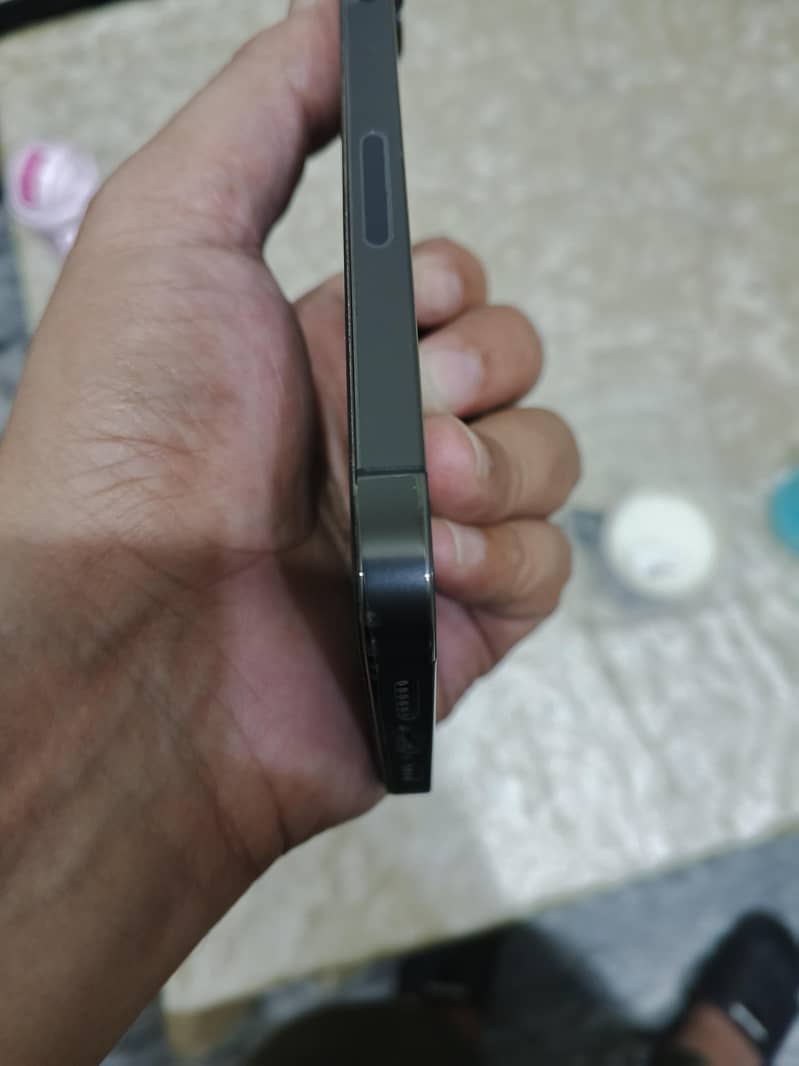Apple iPhone 12 Pro Max 1