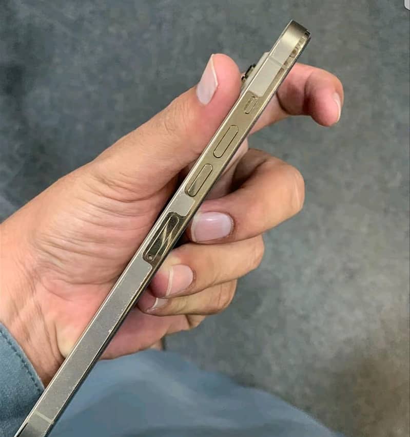 Apple iPhone 13 Pro Max 1