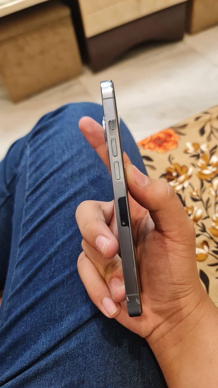 Apple iPhone 13 Pro 12