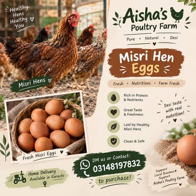 Desi eggs