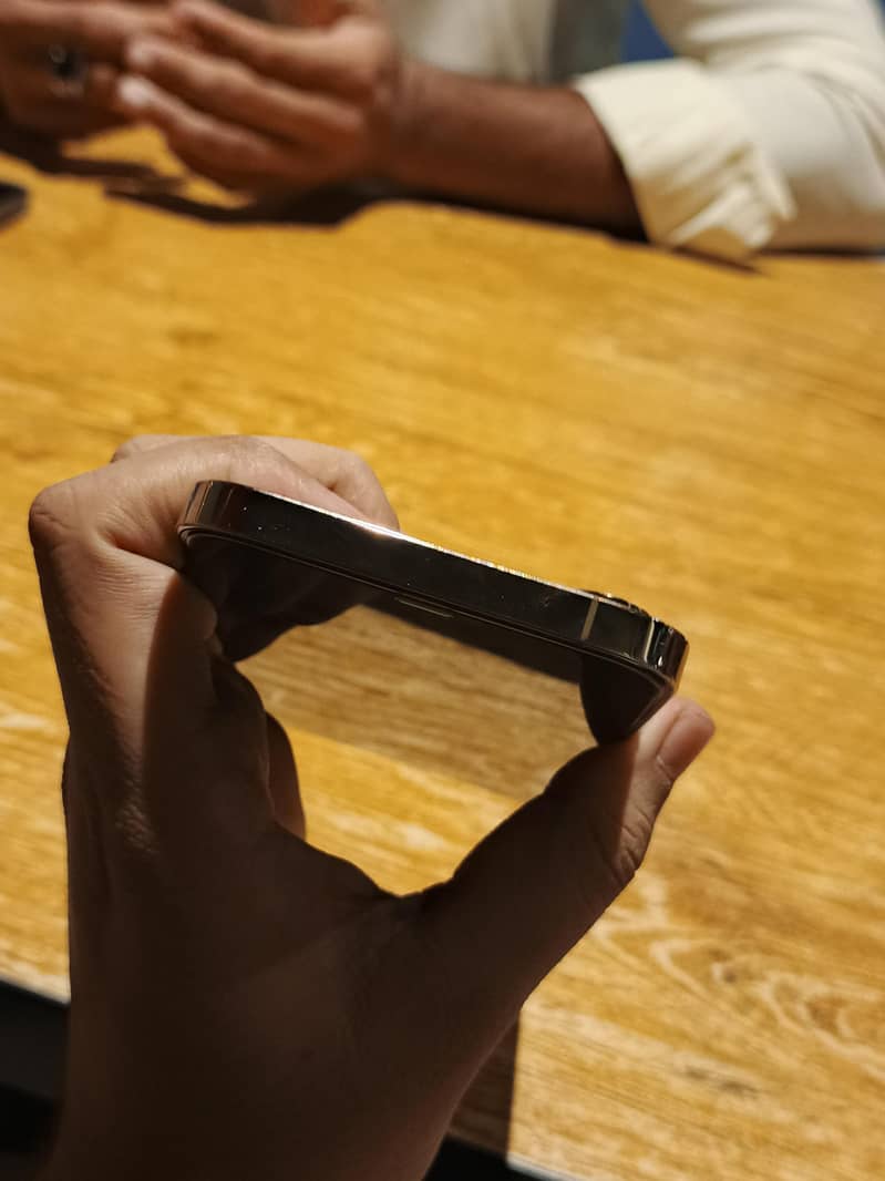 Apple iPhone 12 Pro Max 2