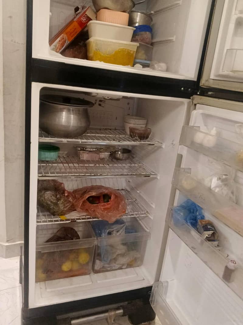 Pel Refrigerators 3