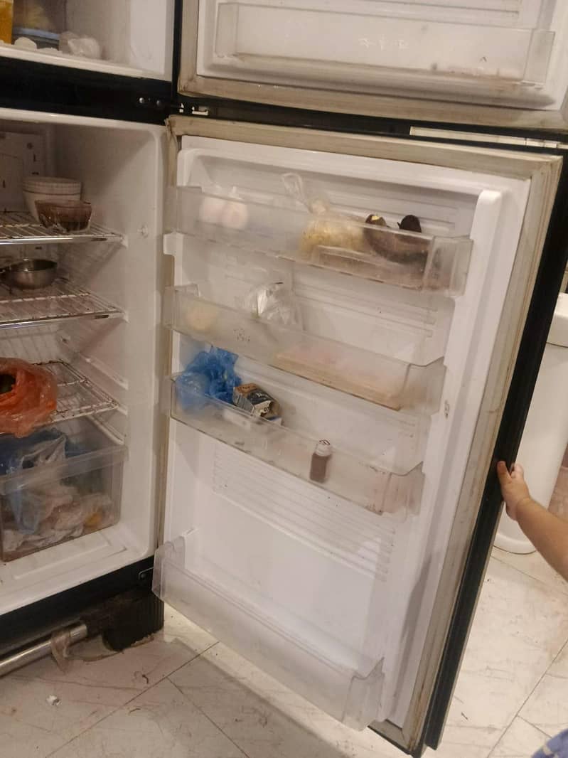 Pel Refrigerators 4