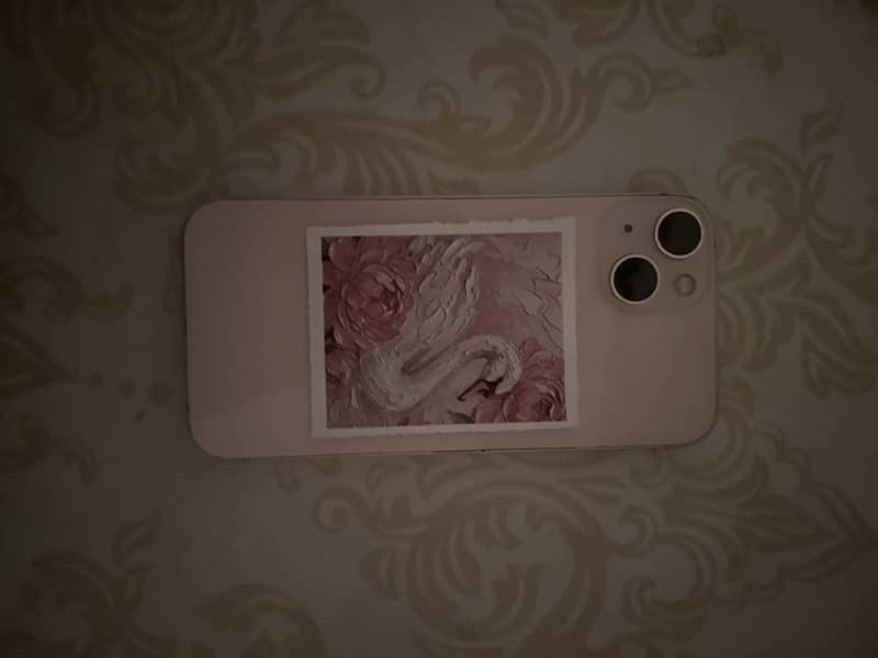 Apple iPhone 13 1