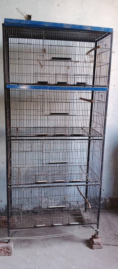 4 portion cage of birds