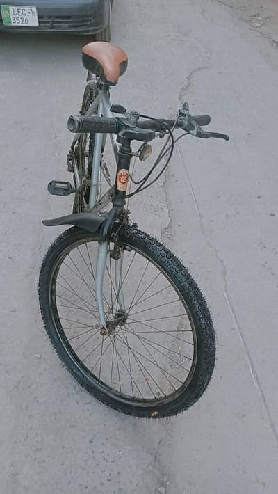 Phoenix original mountain bicycle