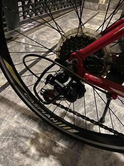 Caspian road bike
