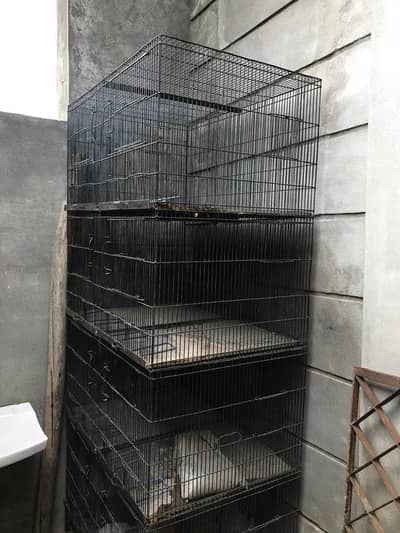 Hen parrot cage Pas cage with box (kujy) Size: 6/3-2 feets Urgent sale
