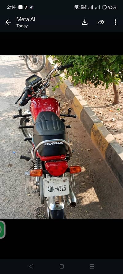 for sale