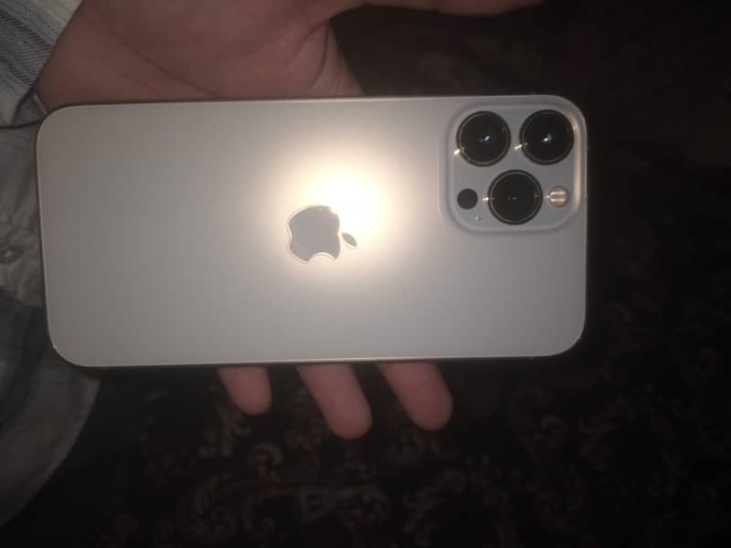Apple iPhone 13 Pro Max 1