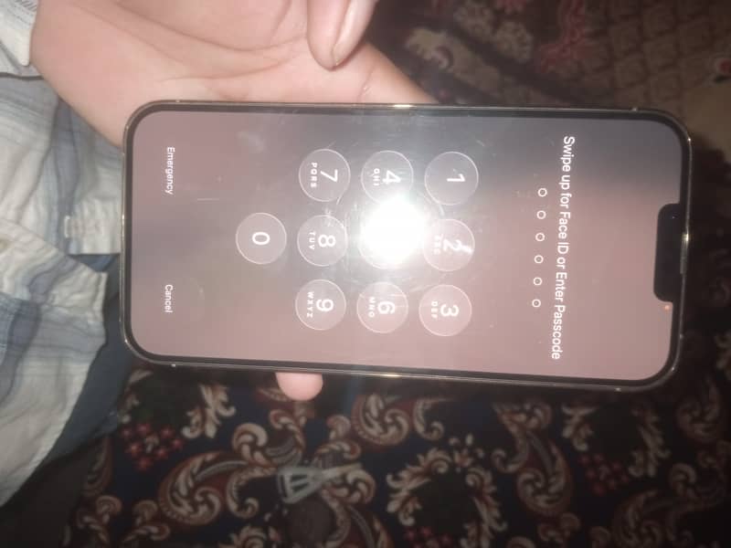Apple iPhone 13 Pro Max 2