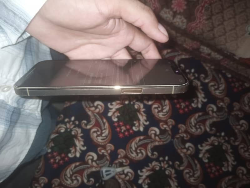Apple iPhone 13 Pro Max 3