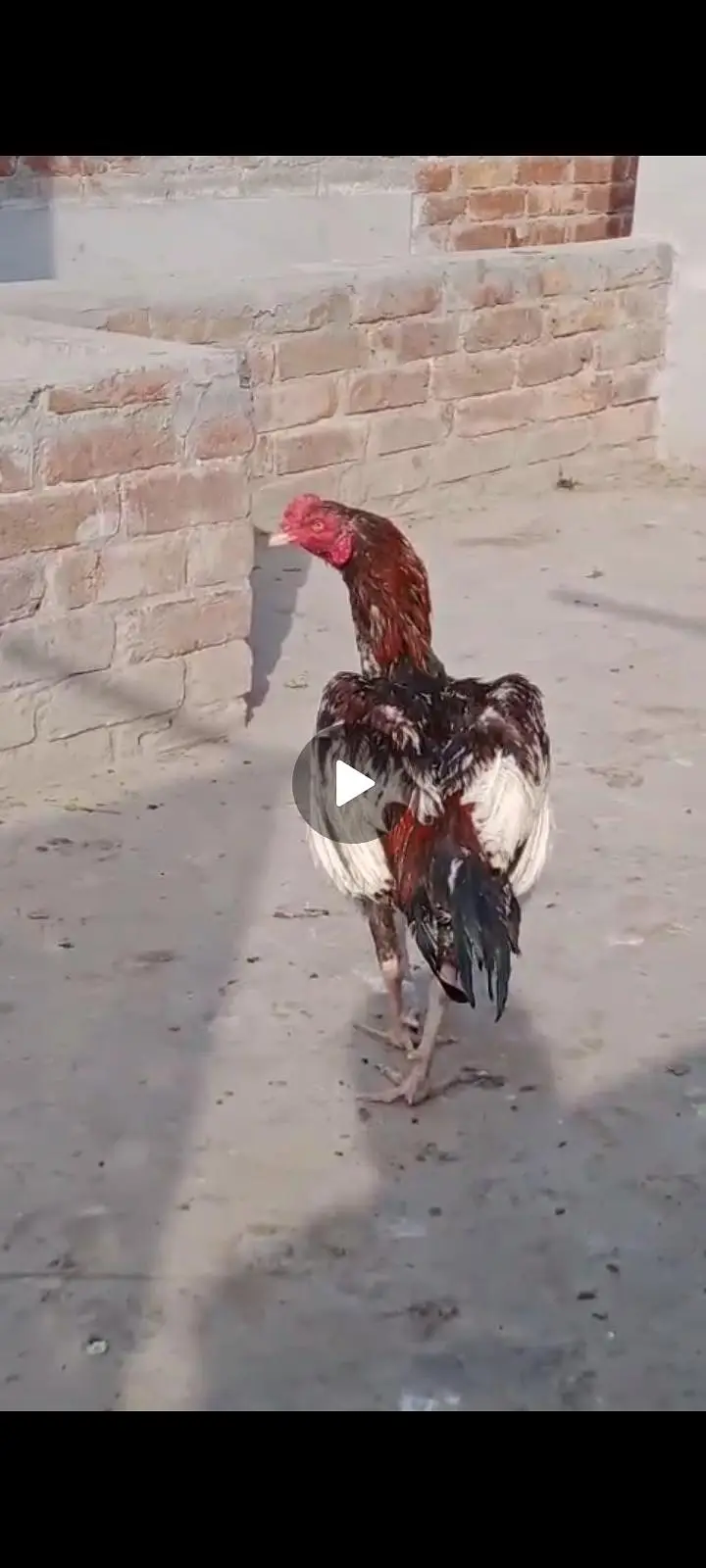 LAKHA