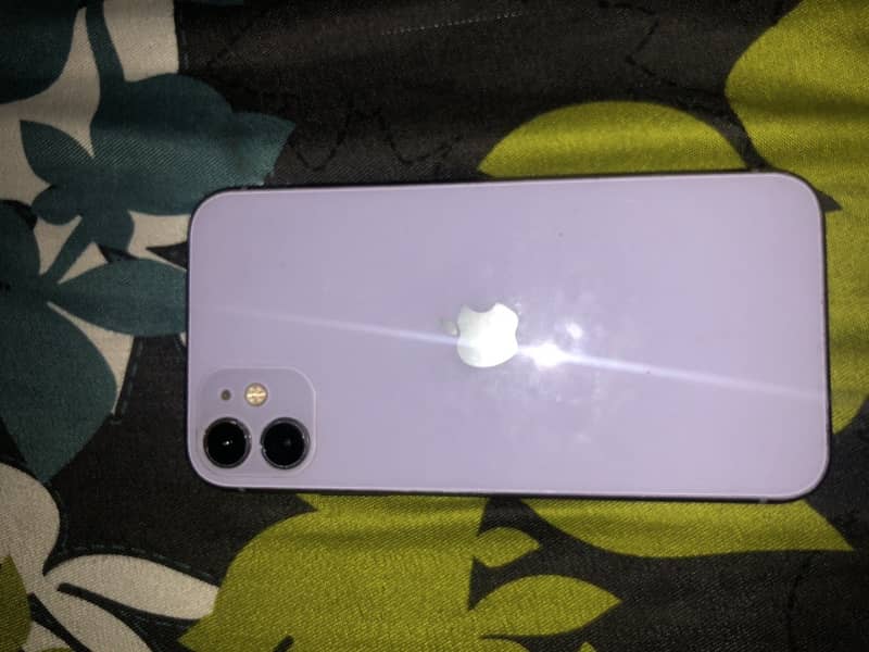 Apple iPhone 11 0