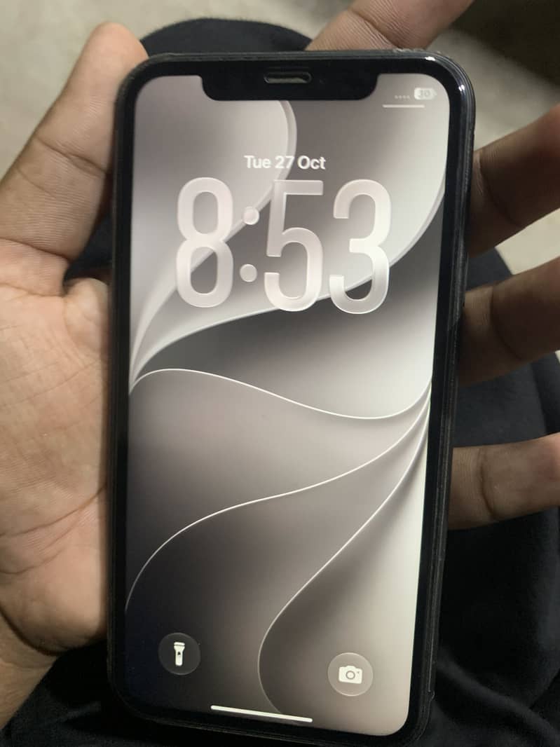 Apple iPhone 11 10