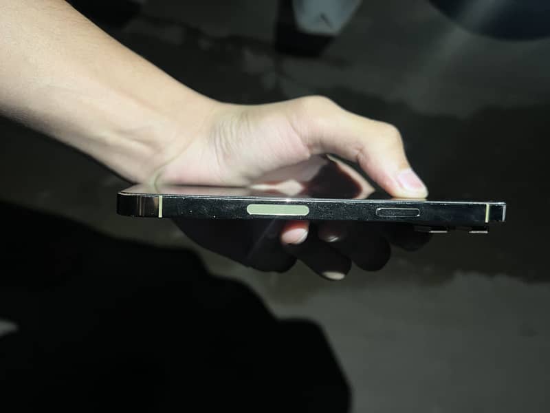 Apple iPhone 14 Pro Max 4
