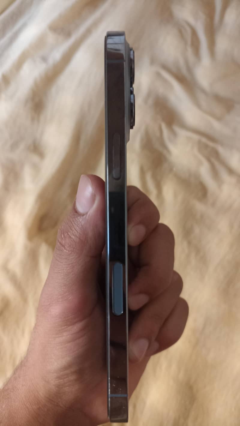 Apple iPhone 13 Pro Max 2