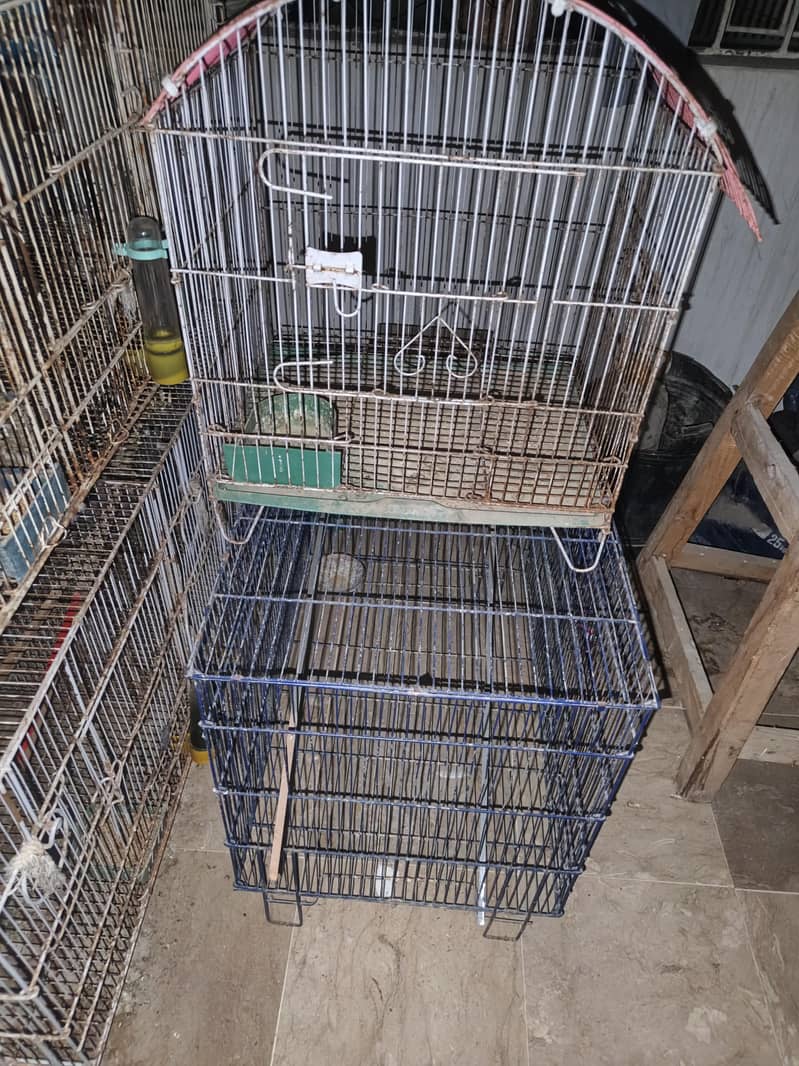 bird cages 0