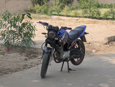 YbrG 125