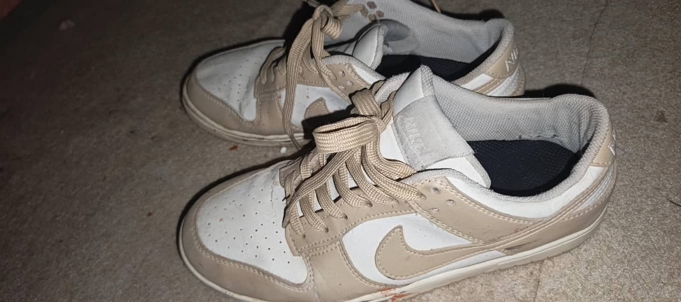 Nike low dunk 0
