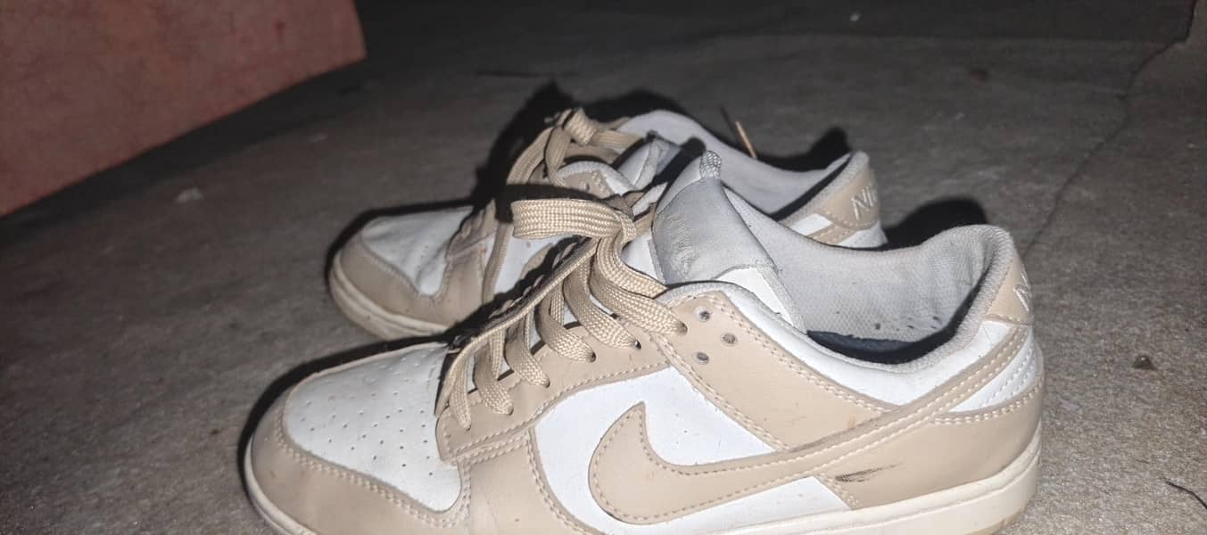 Nike low dunk 1
