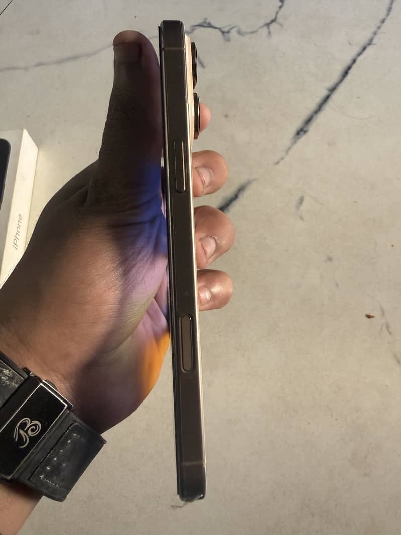 Apple iPhone 16 Pro Max 2