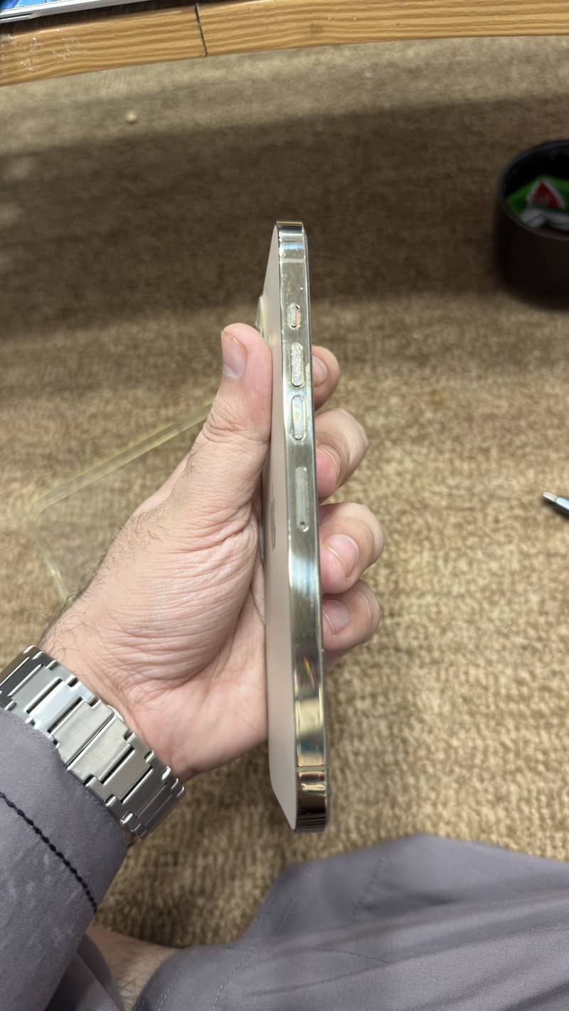 Apple iPhone 13 Pro Max 0