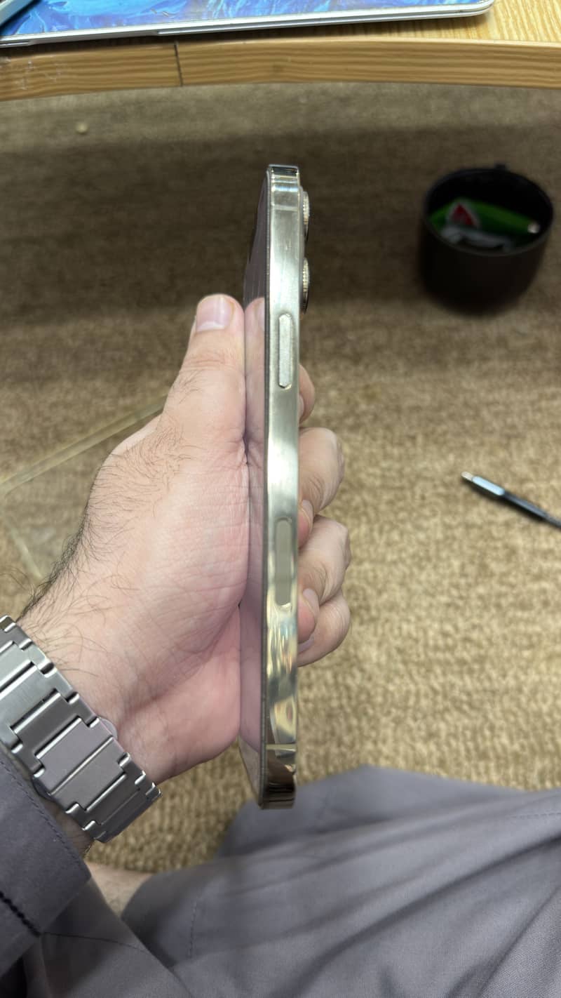Apple iPhone 13 Pro Max 1