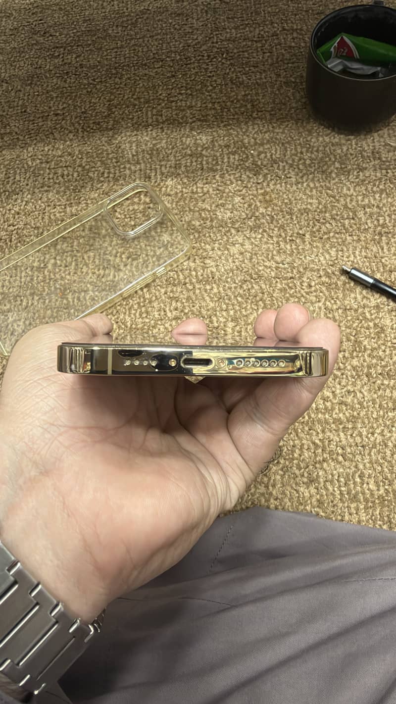 Apple iPhone 13 Pro Max 3