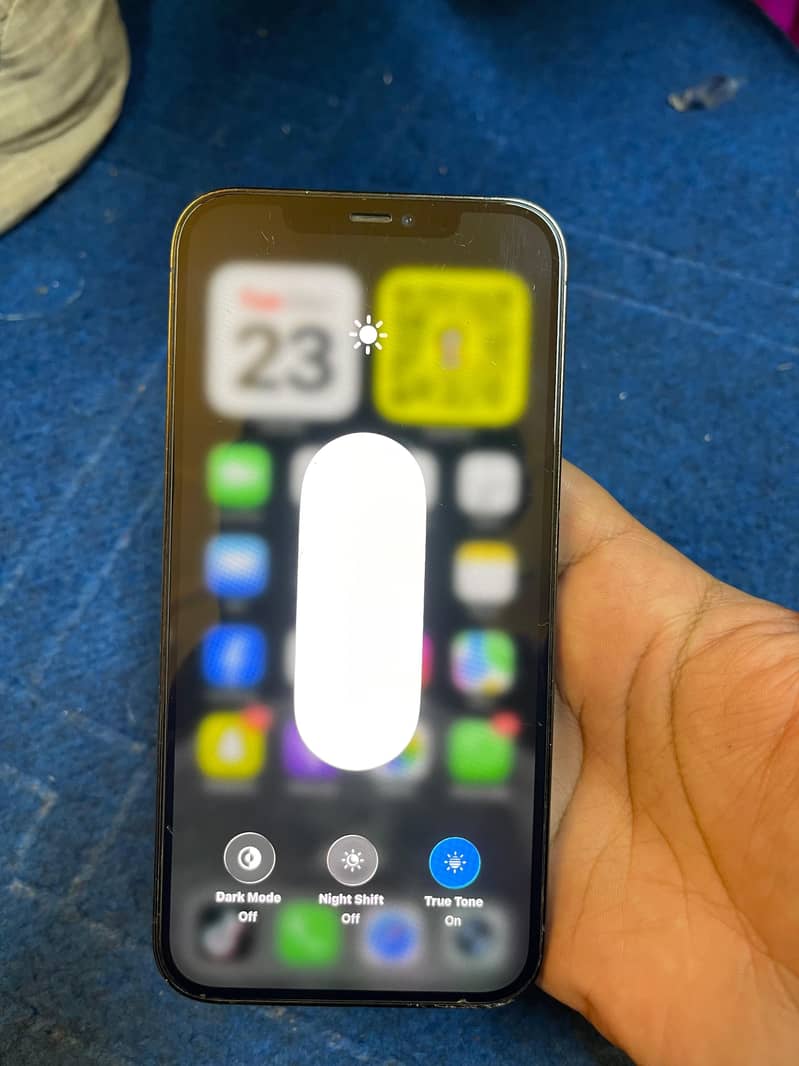Apple iPhone 12 Pro Max 1
