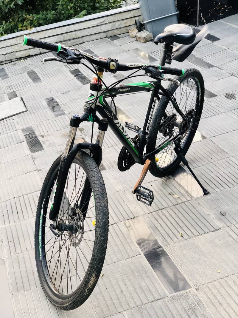 Mountain Bicycle 2