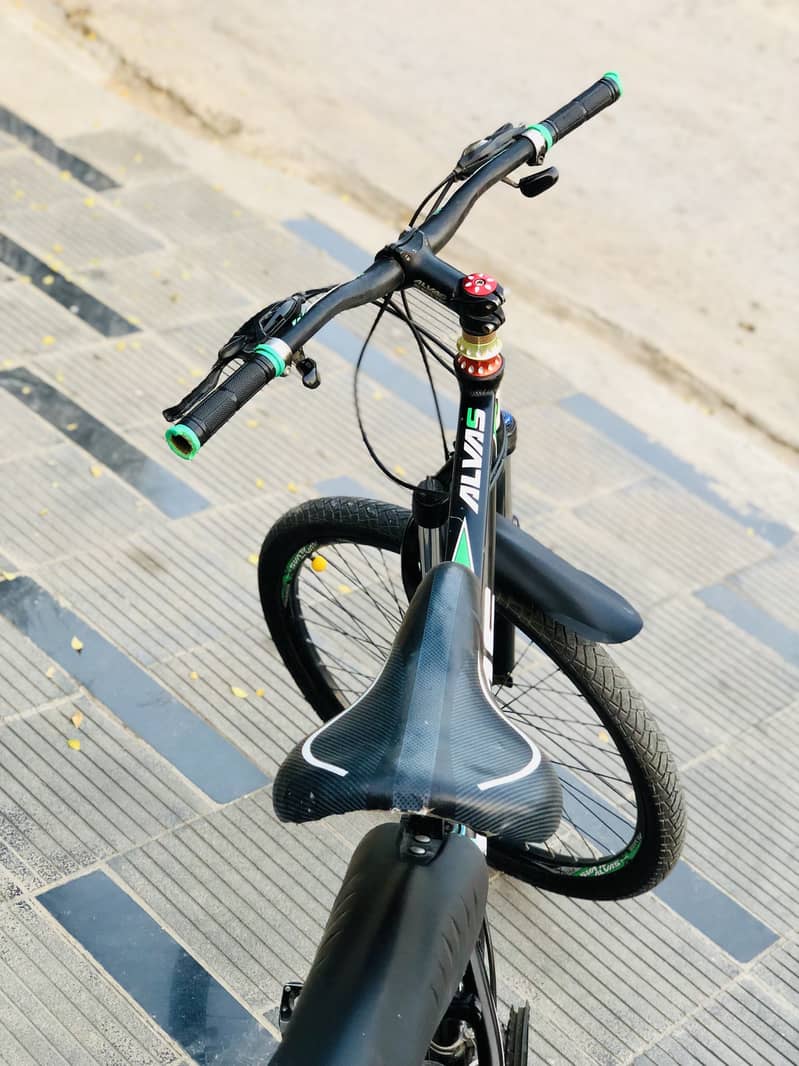 Mountain Bicycle 5